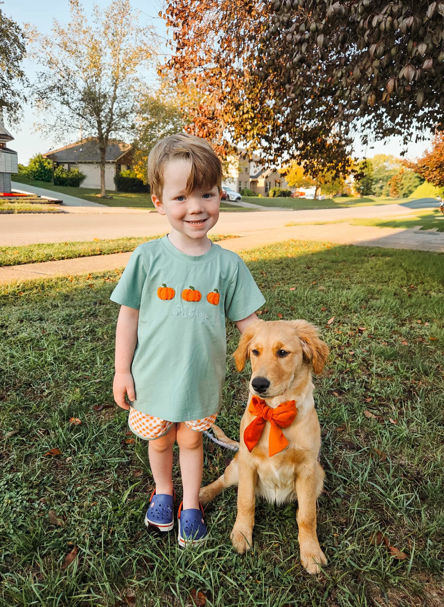 Pumpkin Trellis & Bows Short Set