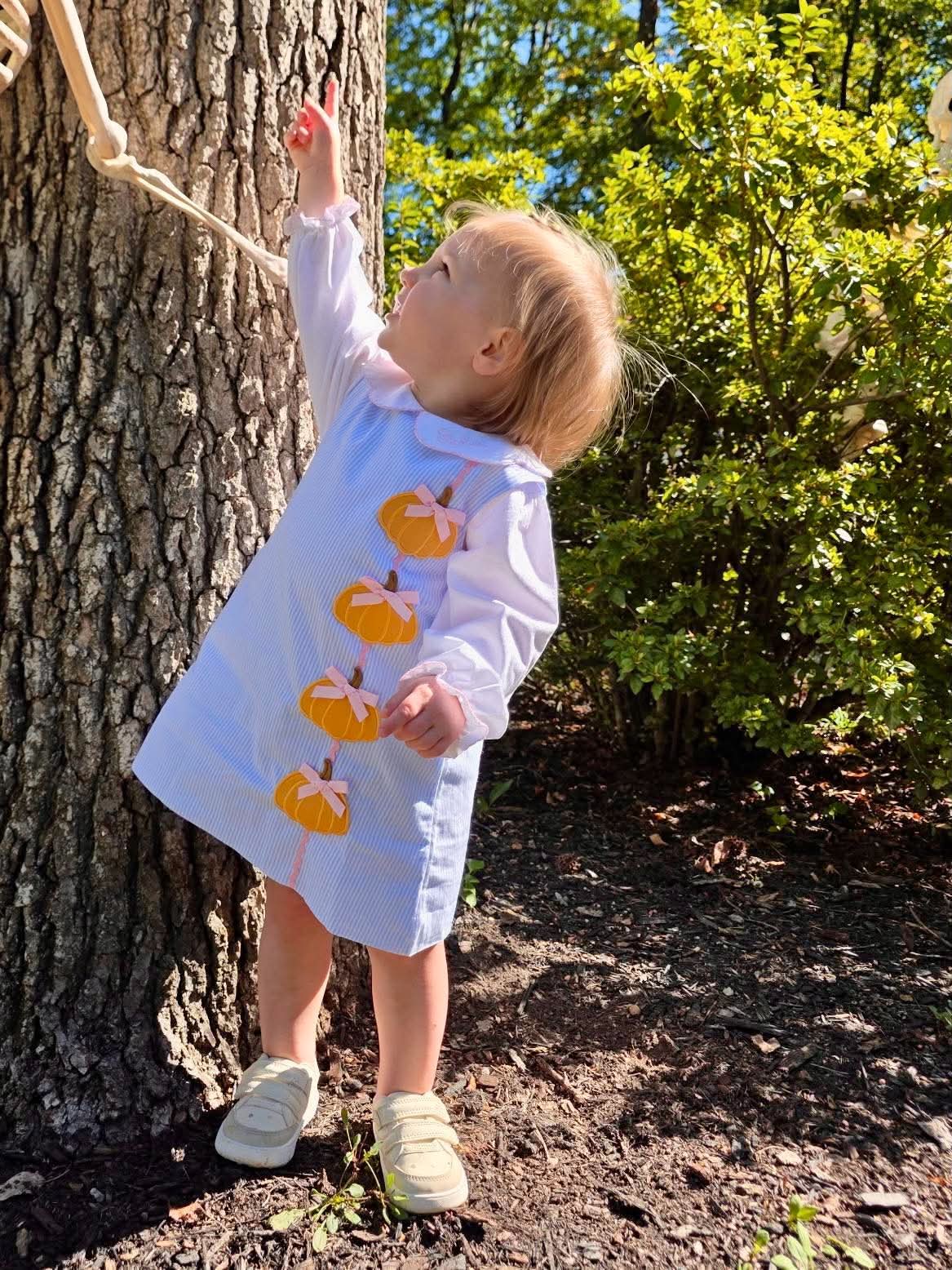 Pumpkin Trellis Dress Set