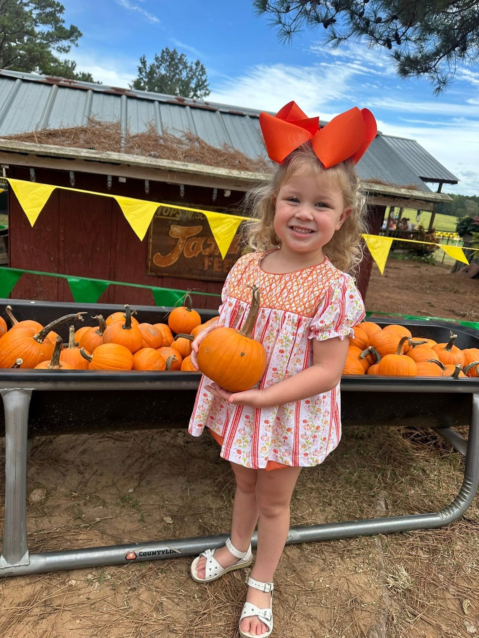 Pumpkin Trellis & Bows Bloomer Set