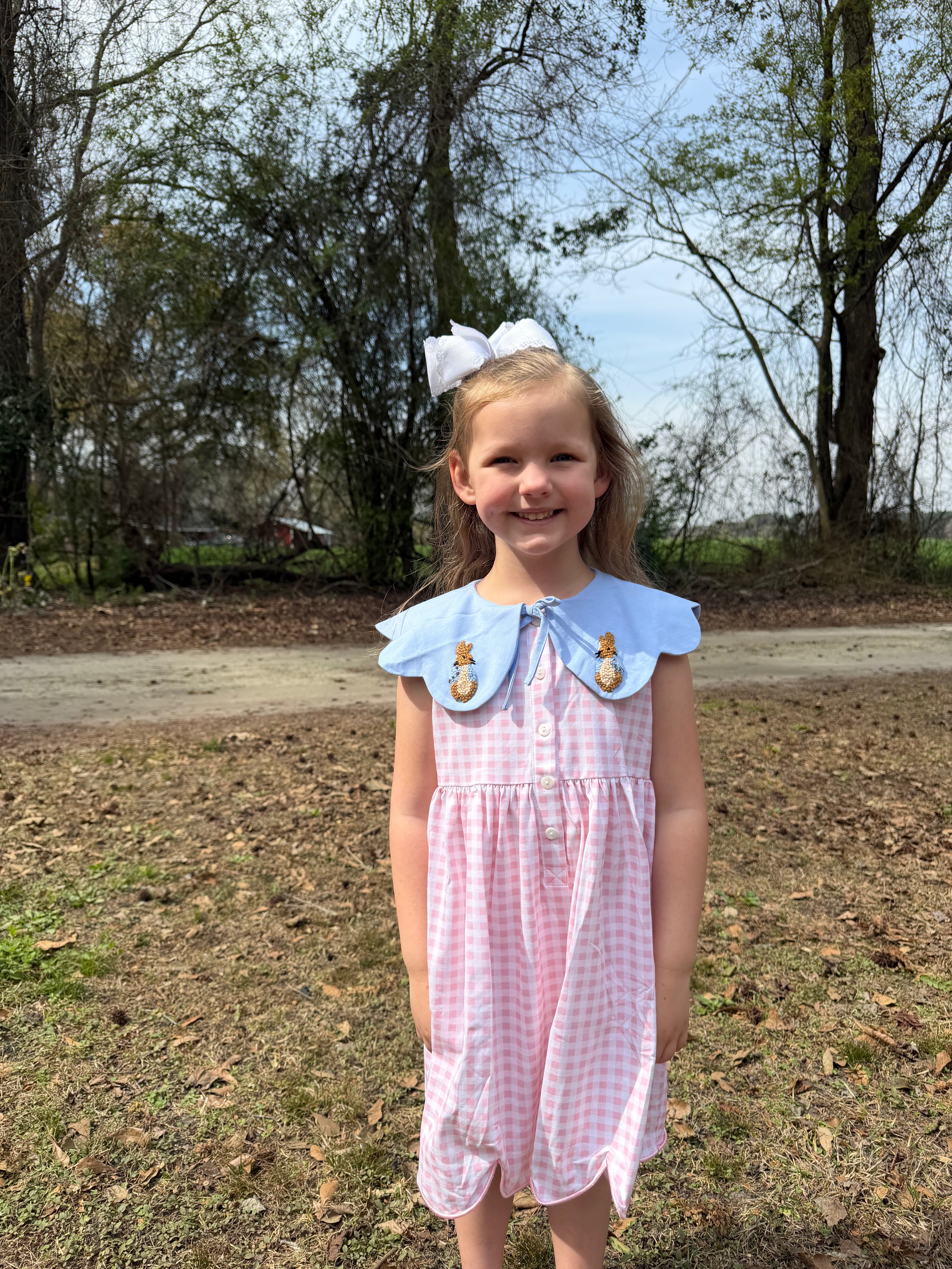 Peter Rabbit Dress