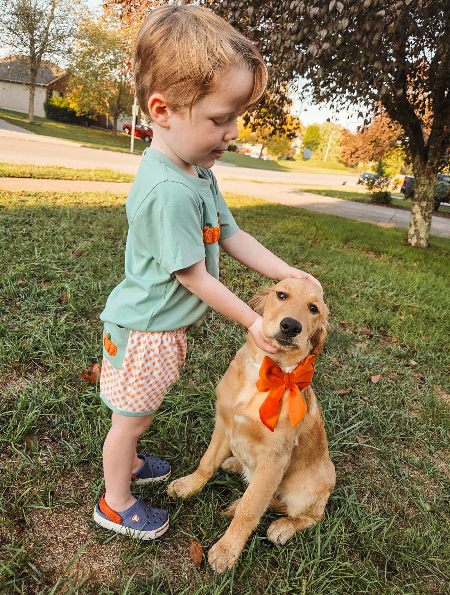 Pumpkin Trellis & Bows Short Set