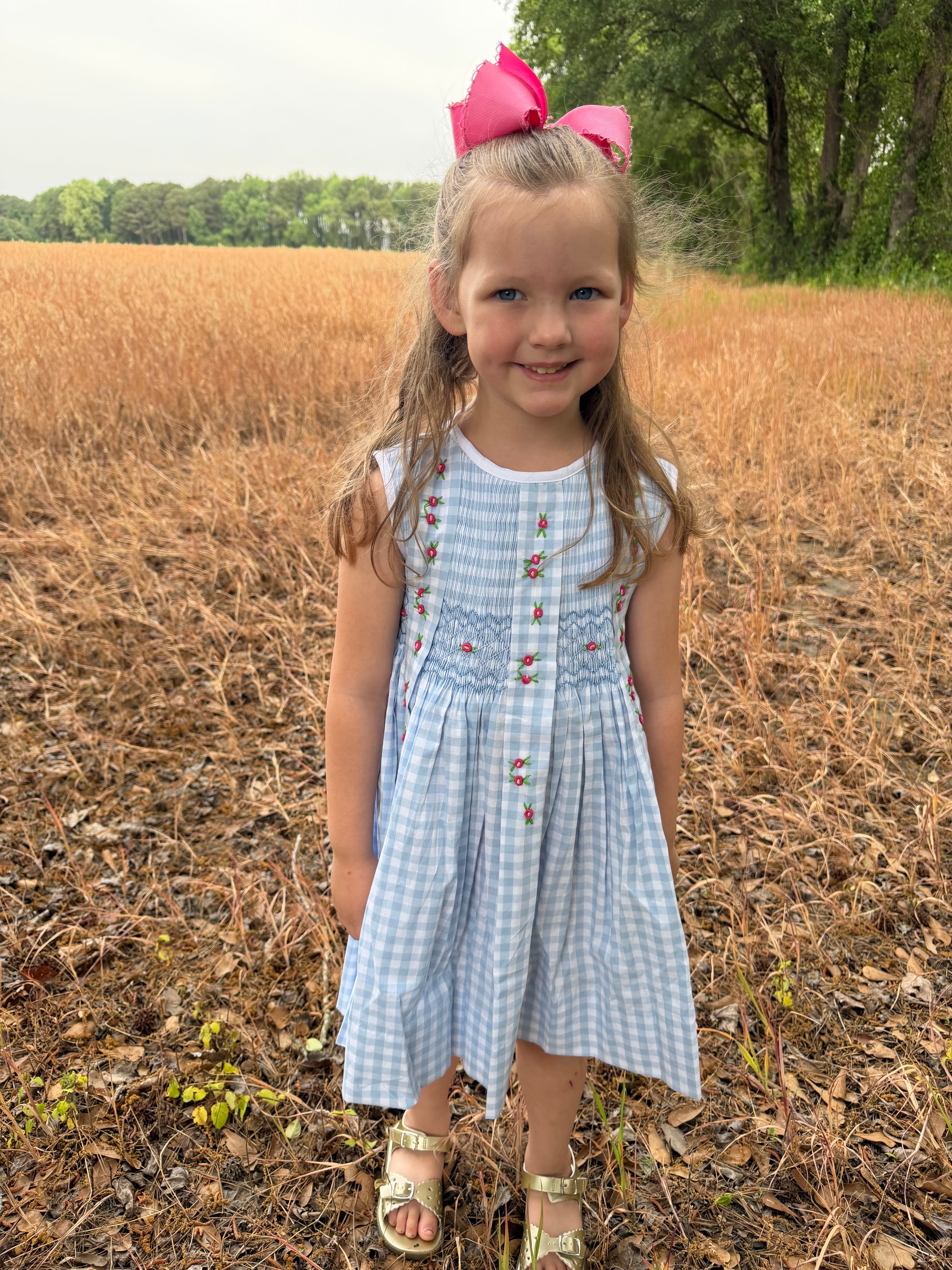 Gingham & Flowers Dress