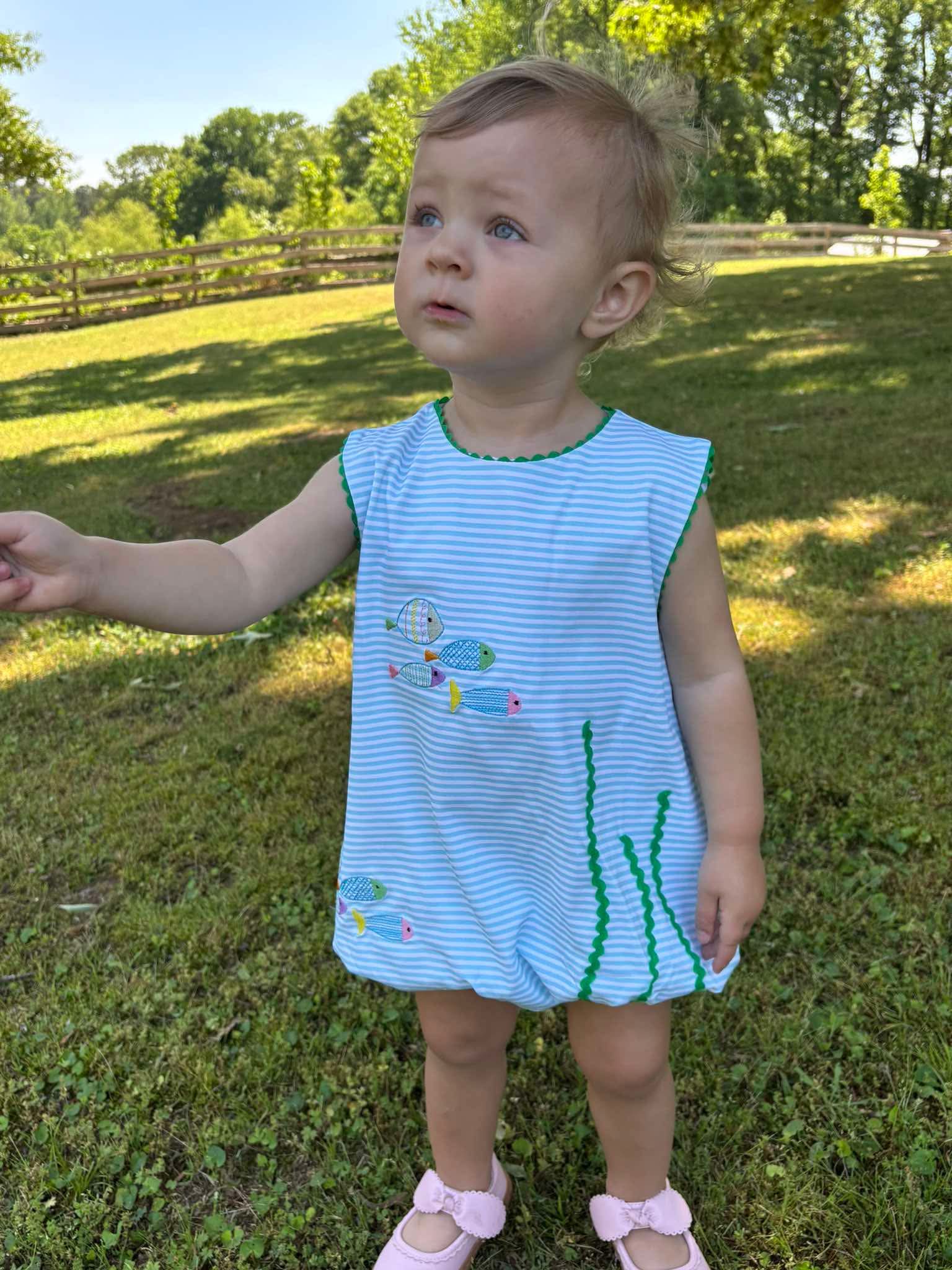 Exploring the Reef Bubble