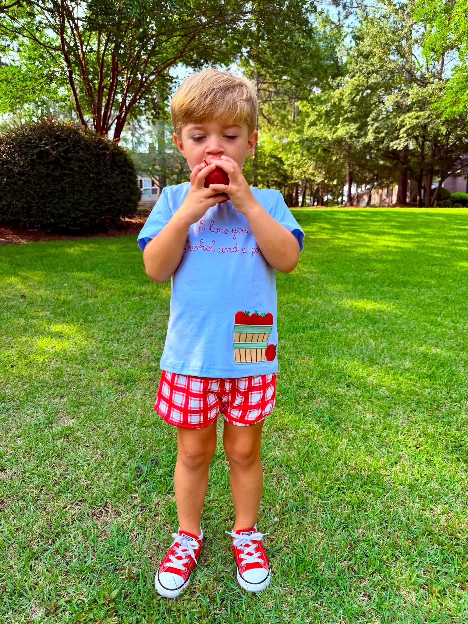 Bushel & A Peck Boy Short Set