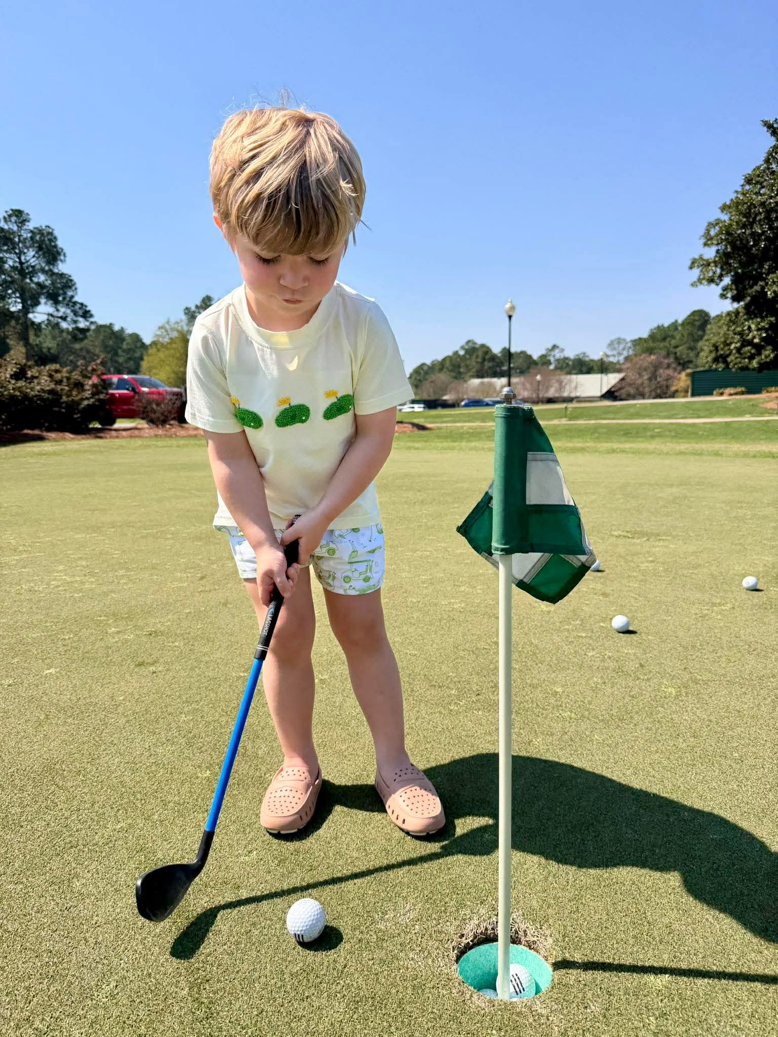 On the Green Short Set