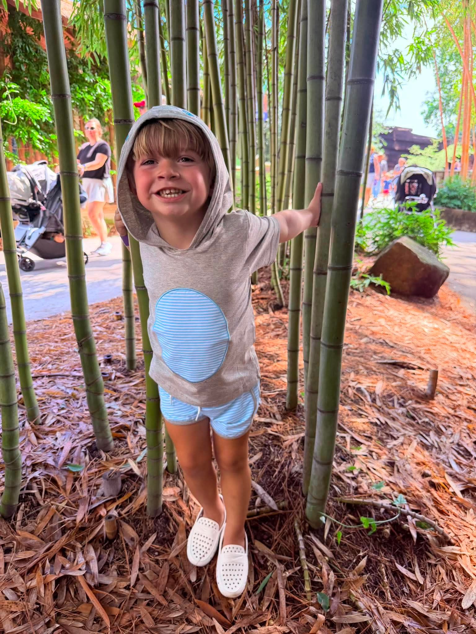 Boy Shark Summer Hoodie Set