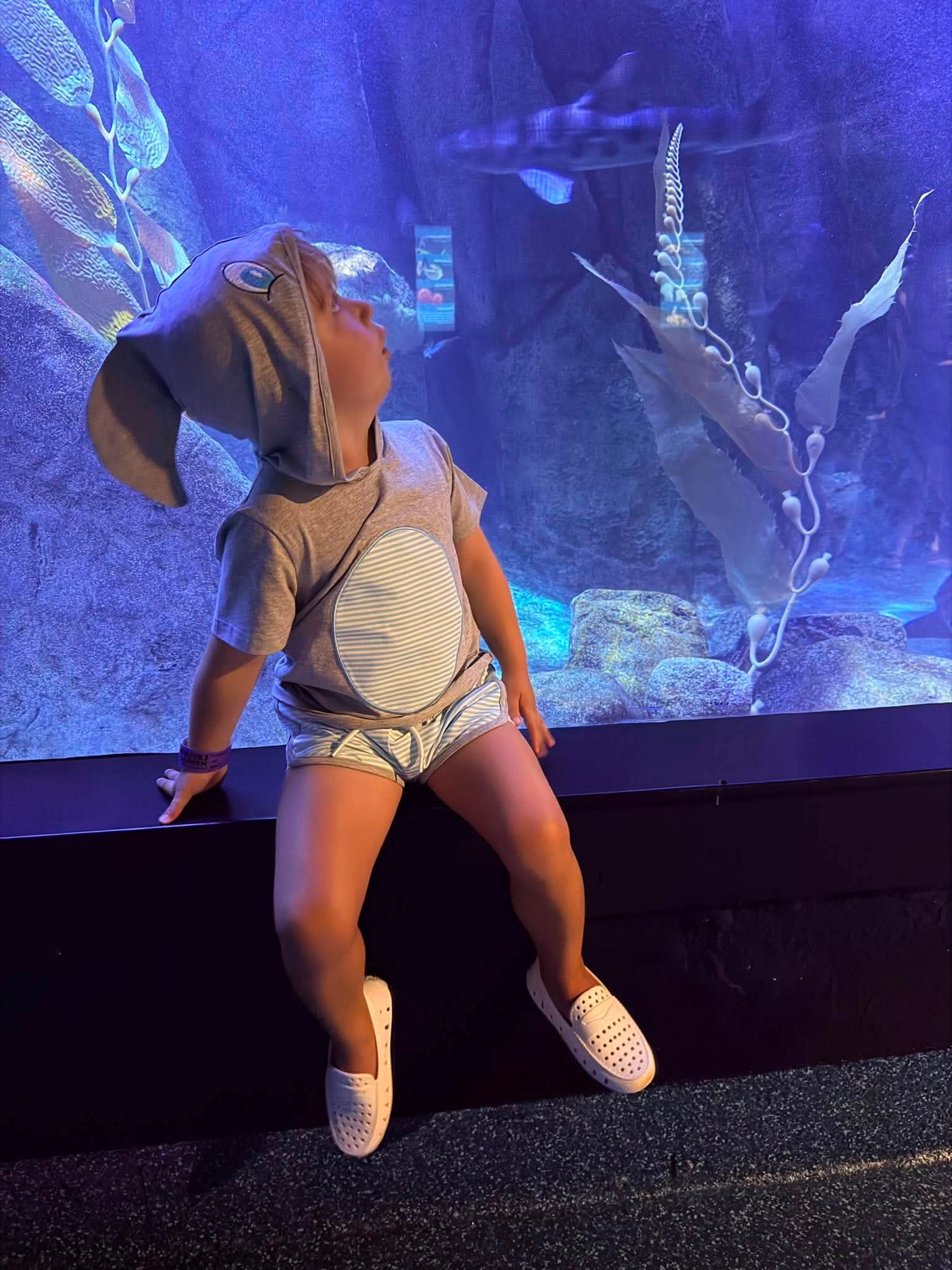 Boy Shark Summer Hoodie Set