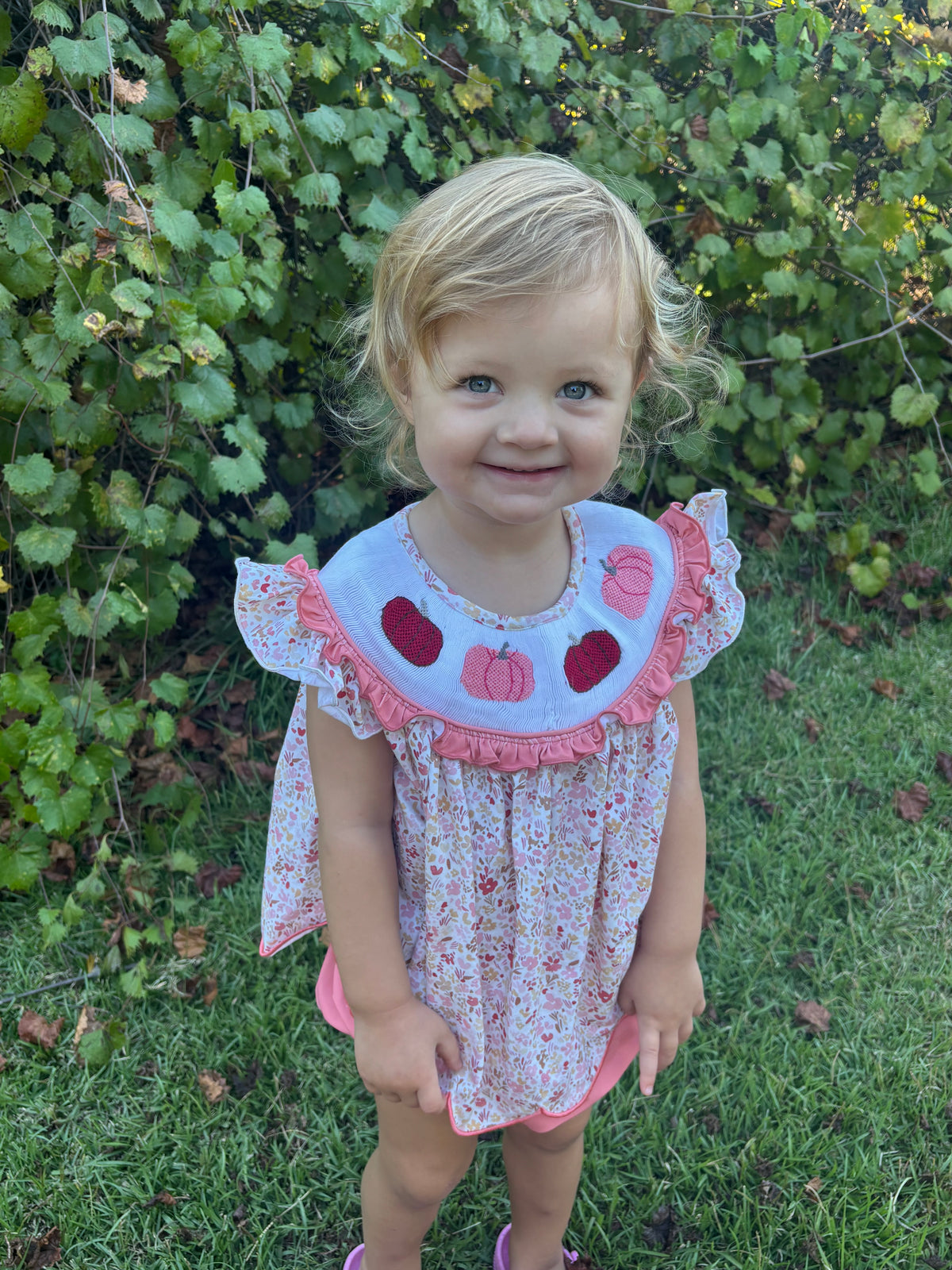 Burgundy Pumpkins Bloomer Set