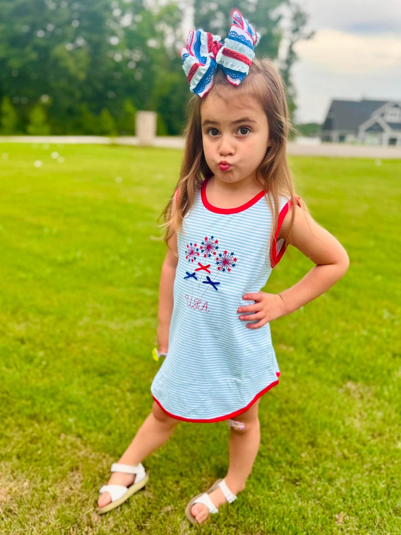 RWB Sparklers Dress (no wording)