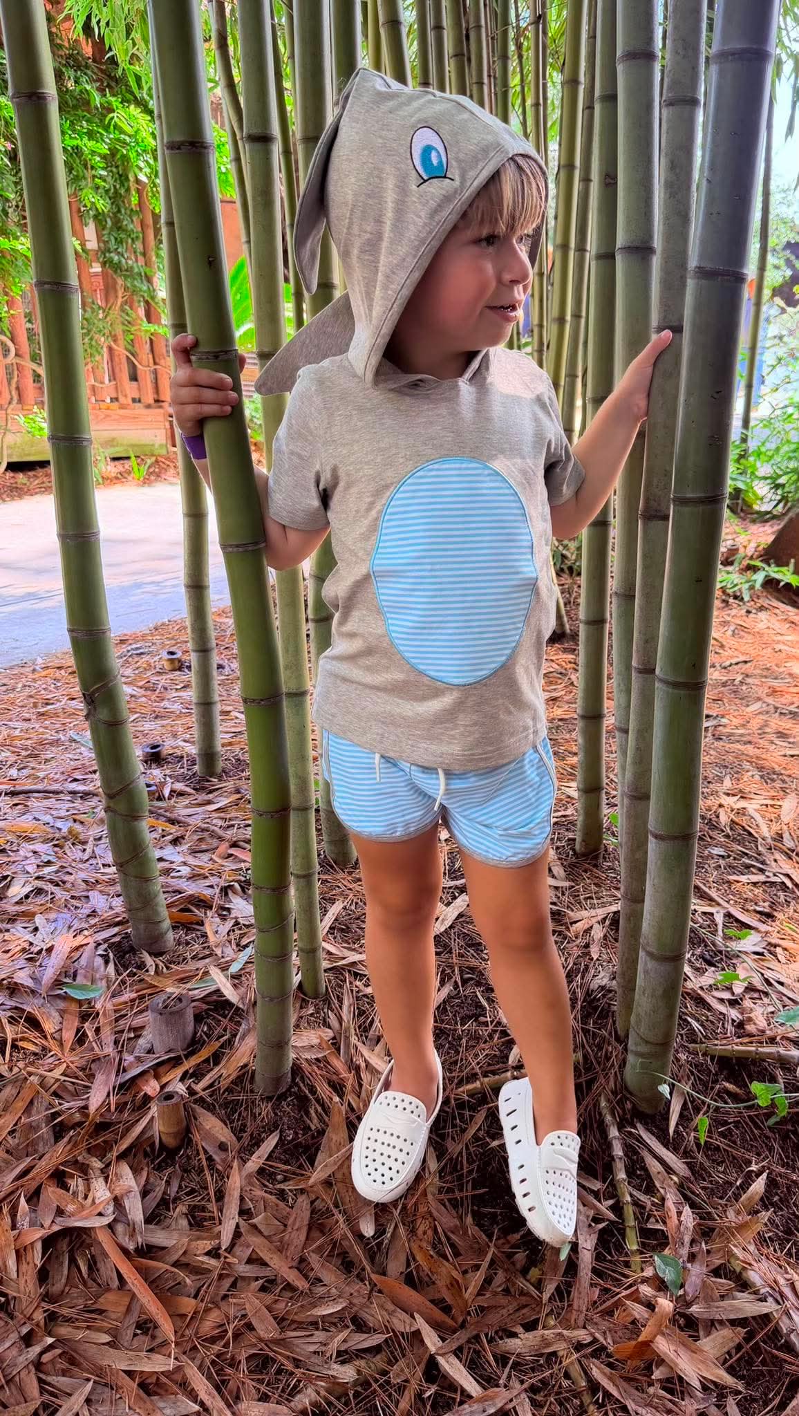 Boy Shark Summer Hoodie Set
