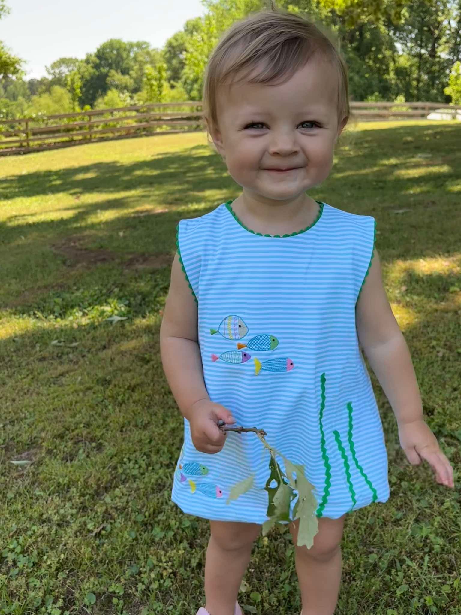 Exploring the Reef Bubble