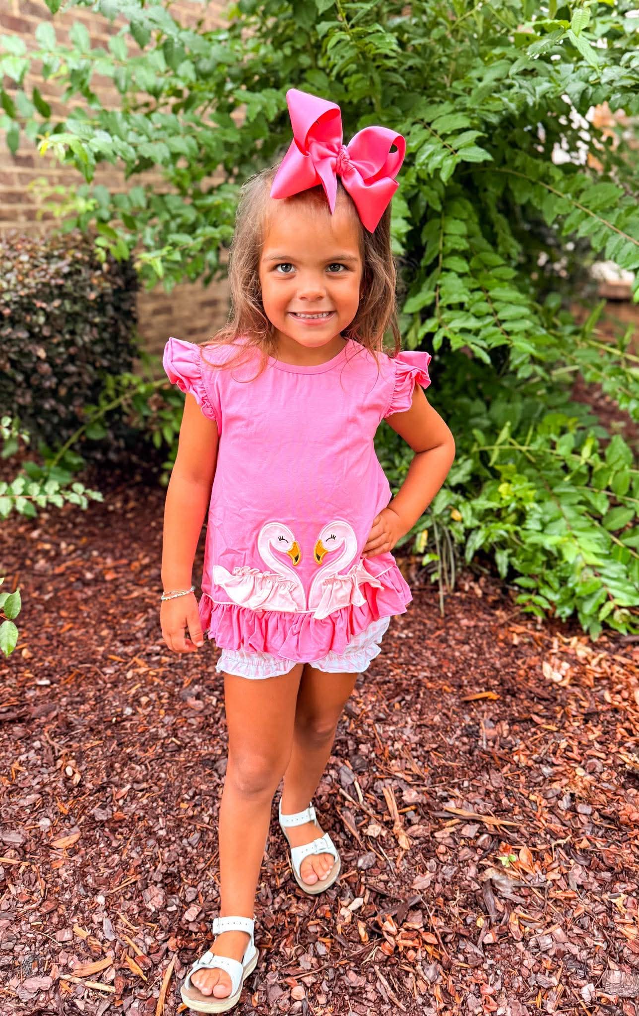 Flamingos Short Set