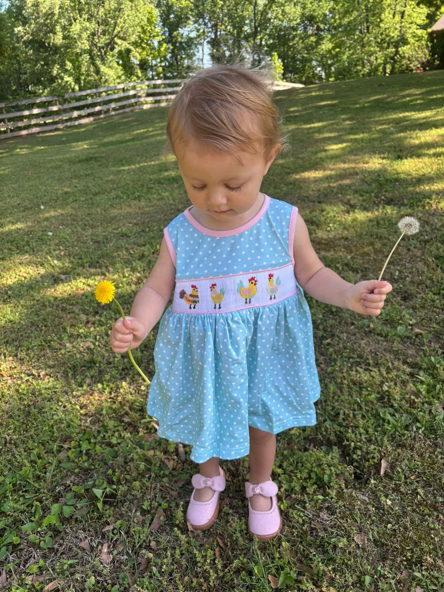 Chicken Coop Girl Skirted Bubble