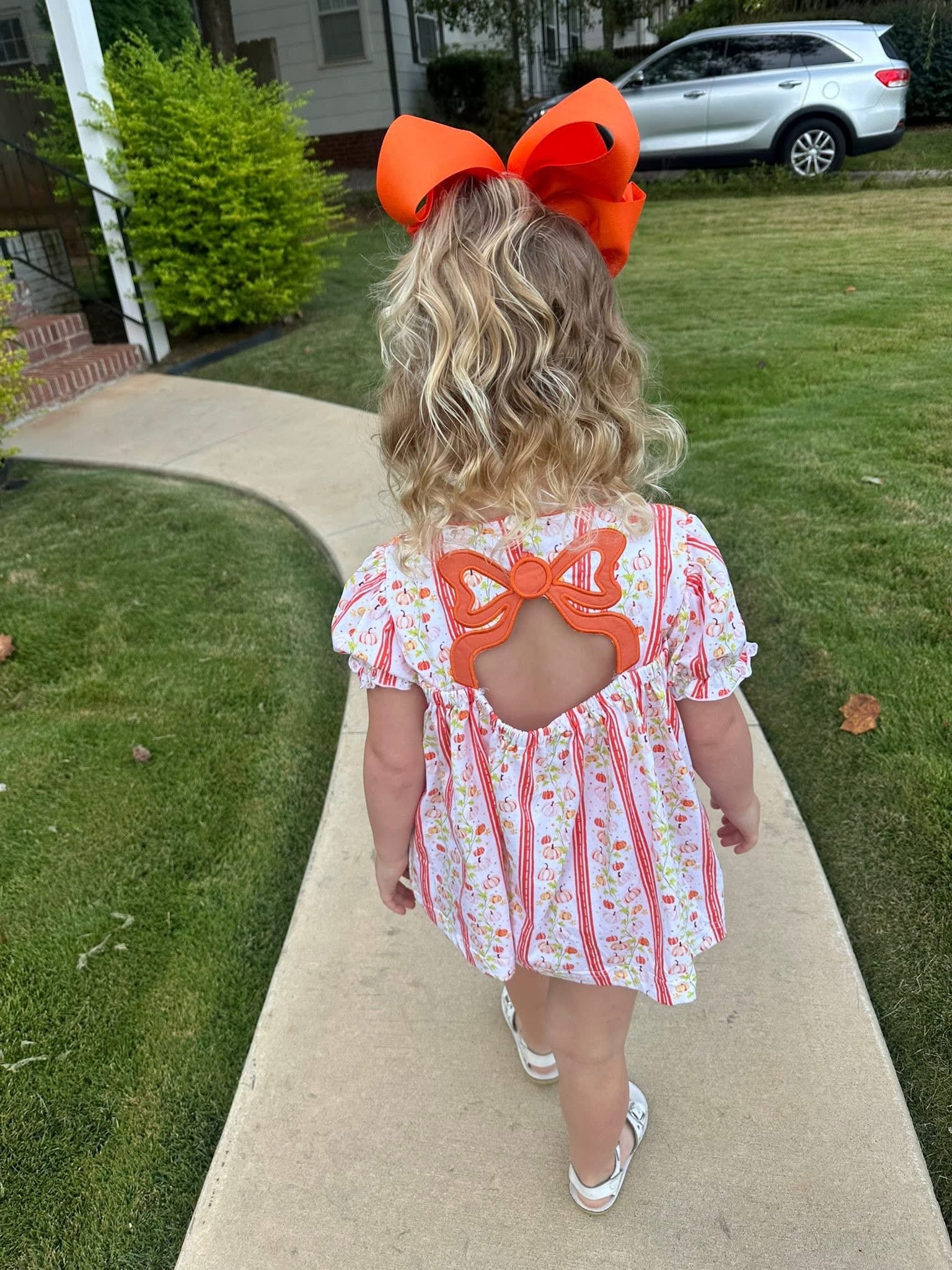 Pumpkin Trellis & Bows Bloomer Set