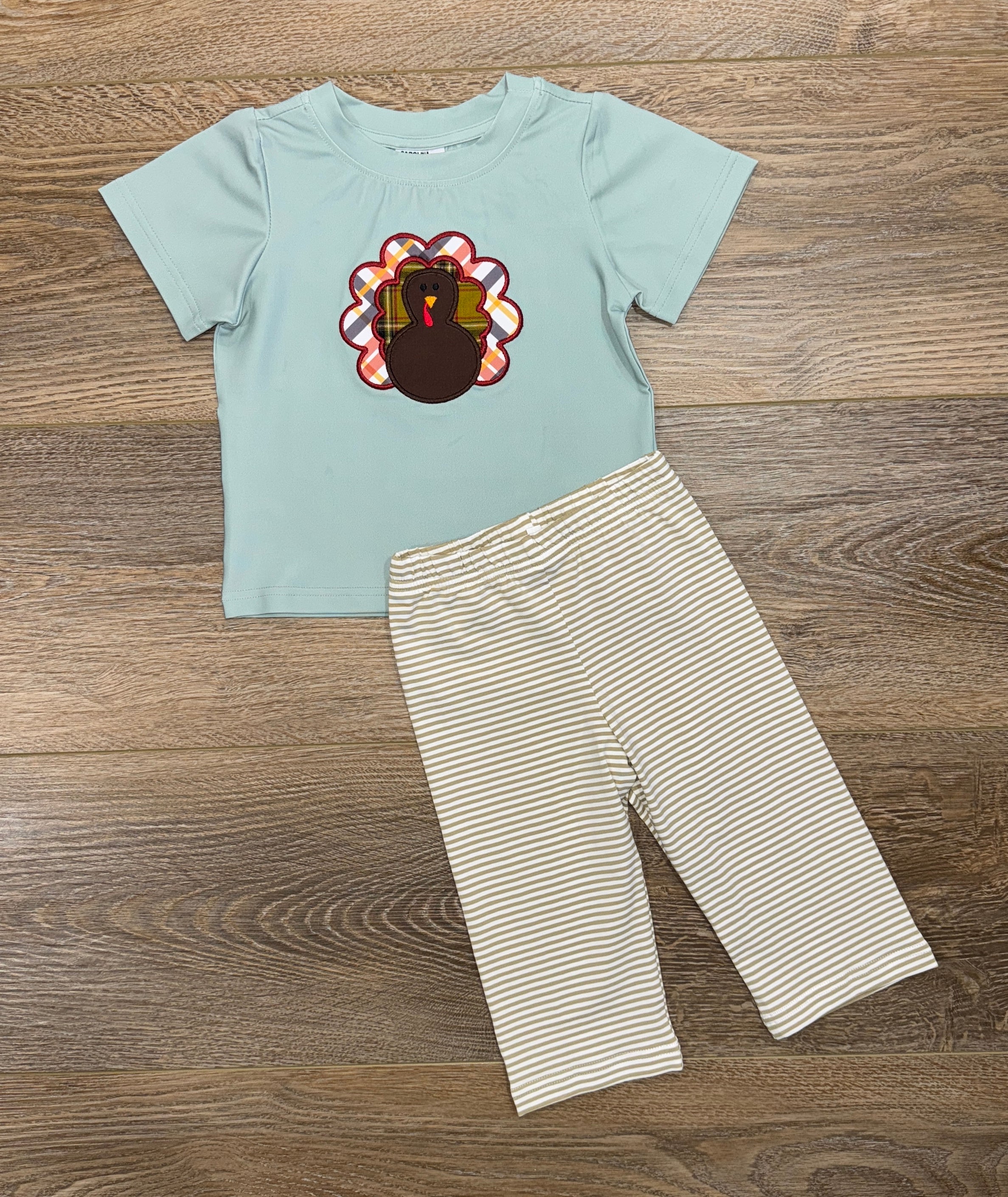 Appliqué Turkey Pant Set